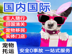 南洋国际宠物托运 【国